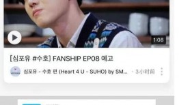 韩国黄寅烨爆料视频,韩国娱乐圈幕后真相曝光