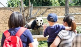 网红爆料动物园视频大全