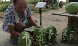 陇西网红吃瓜事件真相是真的吗,真相揭秘，还原事件始末